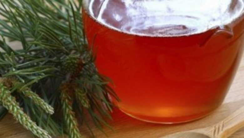 Mugurii de brad: Remediu natural cu multiple beneficii pentru sănătate