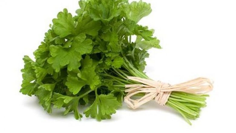 Beneficiile Uimitoare ale Condimentelor: Top 10 Plante Aromatice pentru Sănătate