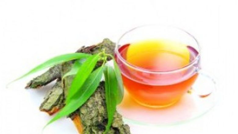 Ceaiul din scoarţă de stejar: Beneficii, utilizări și perspective în medicina naturală