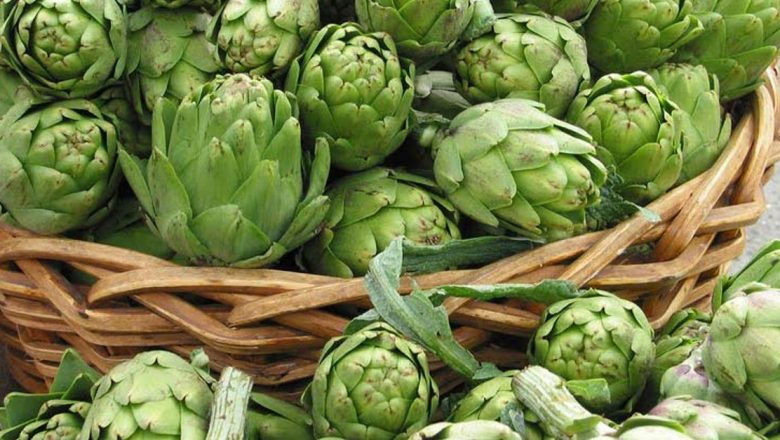 Descoperă Beneficiile Uimitoare ale Extractului de Anghinare: Un Remediu Natural pentru Sănătate