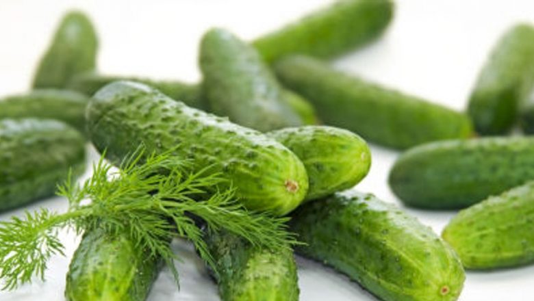 Castravetele: Superalimentul verii care combate boli grave și îmbunătățește sănătatea