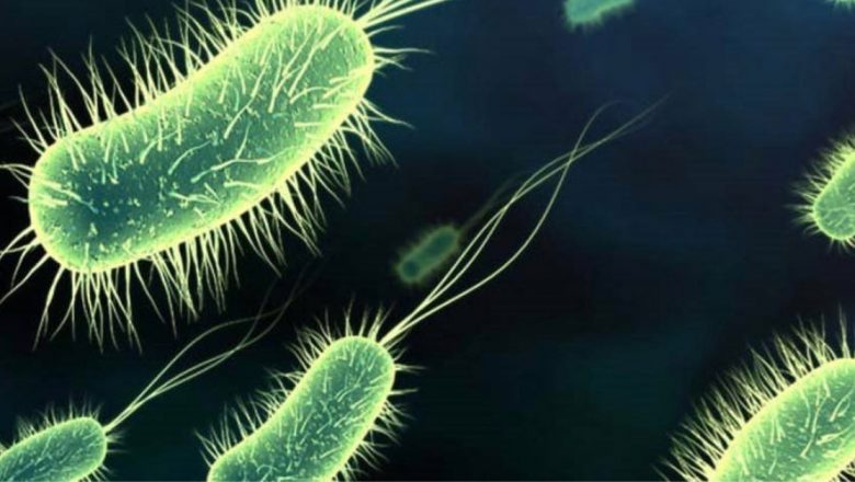Semnele toxinității: De ce urina frecventă poate indica o acumulare de toxine în organism