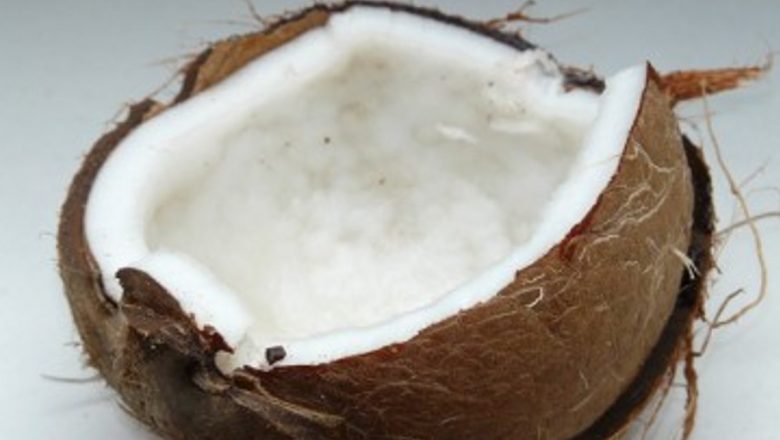 Nuca de cocos: Un superaliment cu multiple beneficii pentru sănătate