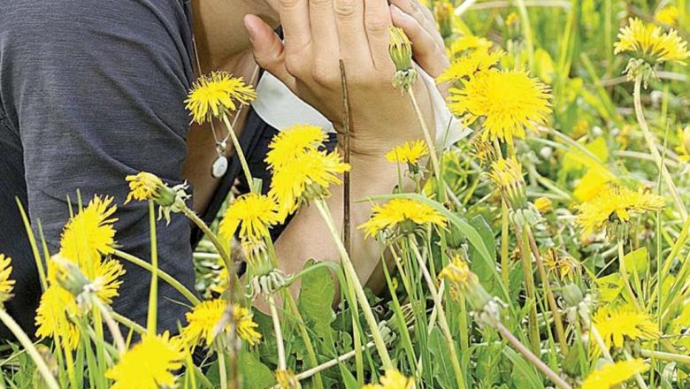 Răcelile de vară: Cum să le gestionezi eficient cu ajutorul ghimbirului și altor remedii naturale