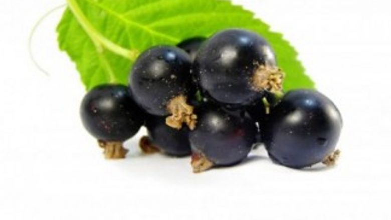 Coacăzele: Fructe de pădure cu beneficii extraordinare pentru sănătate
