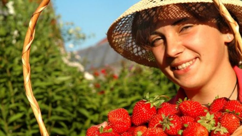Vitamina C: Secretul unei vieți mai lungi și mai sănătoase