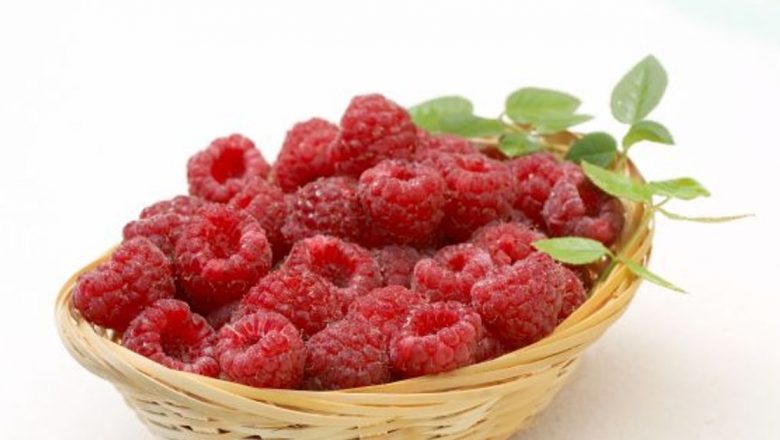 Zmeura: Beneficii, Proprietăți și Curiozități Despre Acest Fruct Delicios
