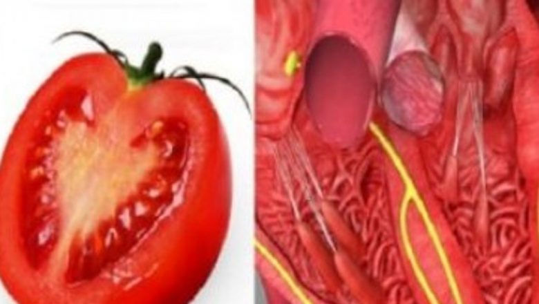 Miracolul Naturii: Cum Forma Plantelor Reflectă Nevoile Organismului Uman
