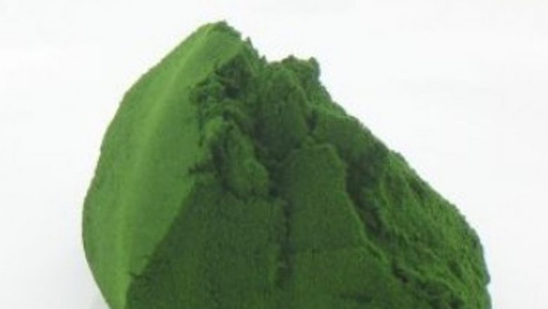 Chlorella: Alga miraculoasă în lupta împotriva cancerului și detoxifierea organismului