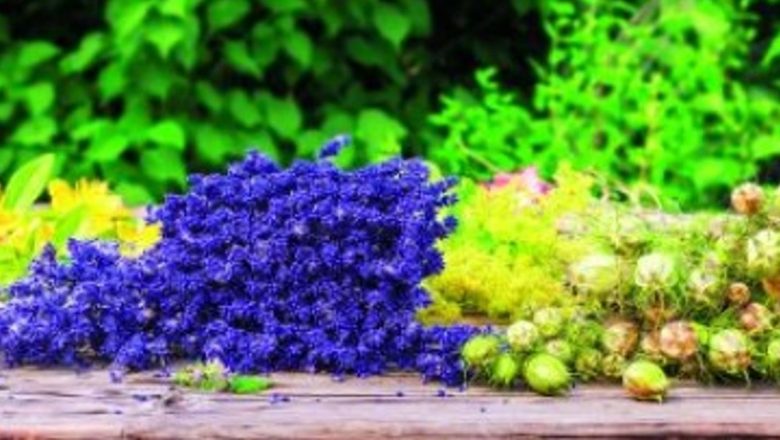Îngrijirea pielii în sezonul cald: Remedii naturale pentru răcorirea și protejarea pielii