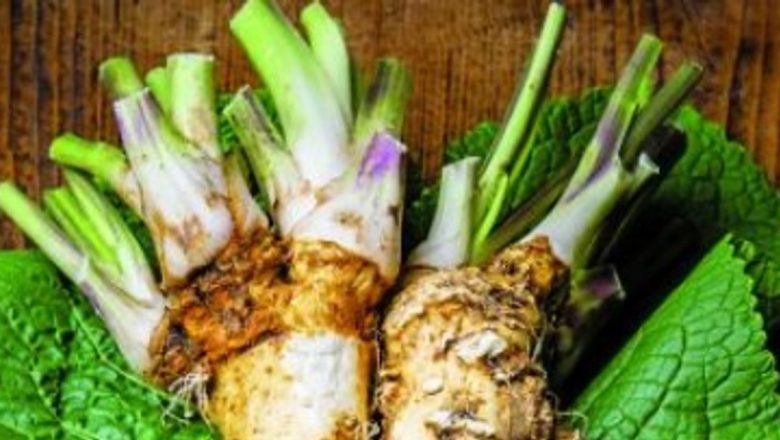Hreanul: Un Remediu Natural cu Beneficii Inestimabile pentru Sănătate