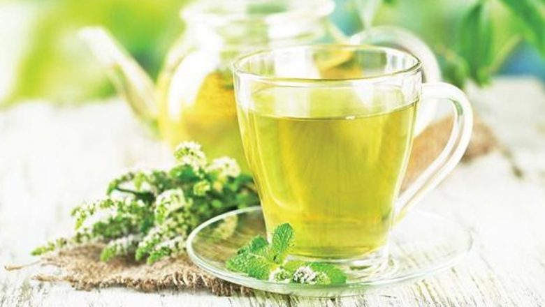 Plantele care ajută la pierderea în greutate: O privire detaliată asupra eficienței lor
