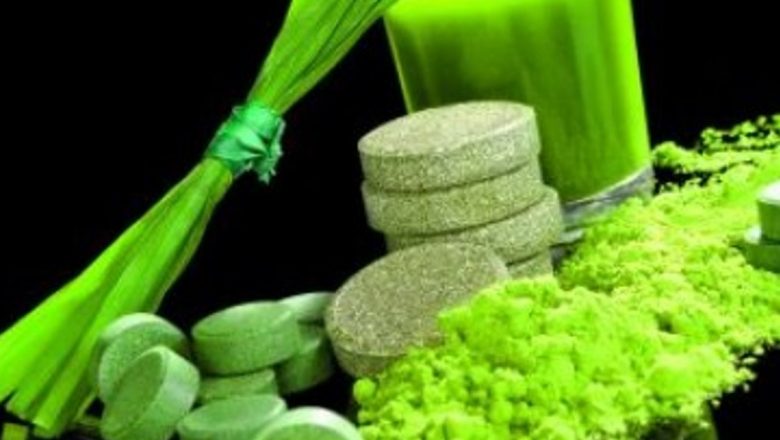 Spirulina: O Algă cu Beneficii Terapeutice Remarcabile pentru Sănătate