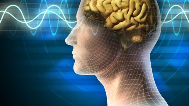 Alimentația pentru un Creier Sănătos: Ce Să Mănânci pentru a Îmbunătăți Funcțiile Cognitive