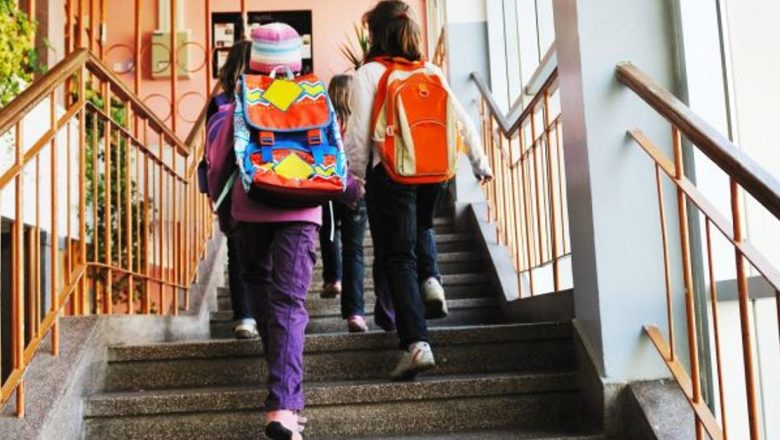 Ghidul complet al ghiozdanelor pentru elevi în 2015: Stil, utilitate și sănătate