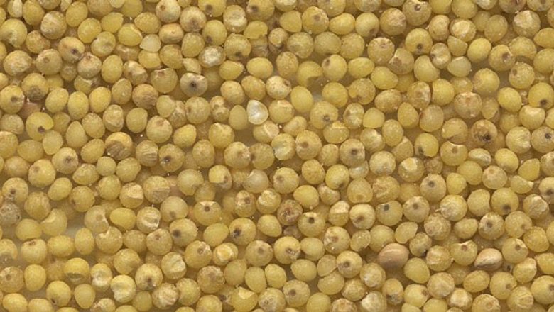 Meiul: Superalimentul uitat care poate transforma dieta modernă