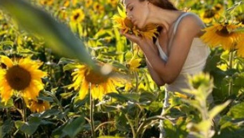 Explorarea Tratamentelor Naturiste pentru Infertilitate: Top 10 Soluții Eficiente și Beneficiile Lor