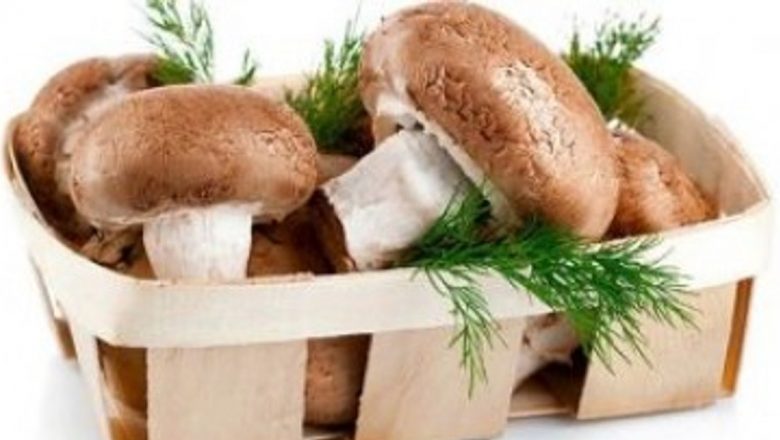 Descoperirea Beneficiilor Ciupercilor: O Sursă Inestimabilă de Sănătate și Vitalitate