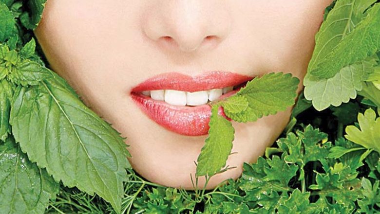 Menta: O Plantă Medicinală cu Beneficii Remarcabile pentru Sănătate