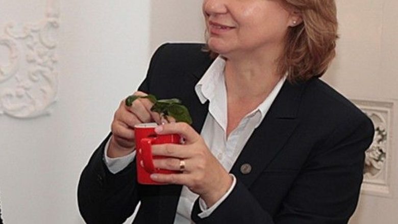 Cultivarea cafelei acasă: O aventură botanică pentru iubitorii de cafea