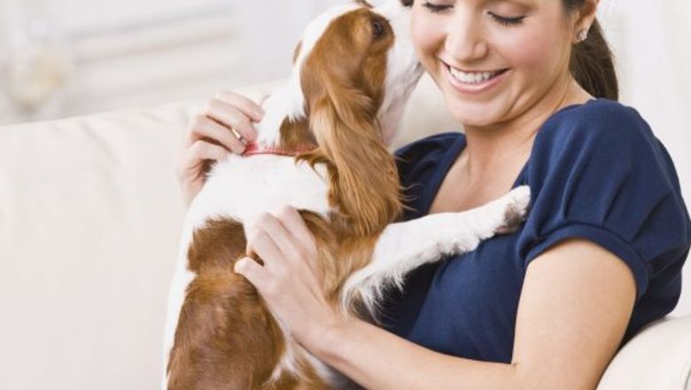 Boli Transmise de la Animalele de Companie: O Analiză Detaliată a Zoonozelor și Implicațiilor Lor