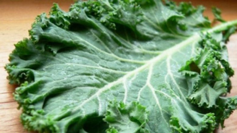 Varza creață: O comoară nutritională din grădina Europei