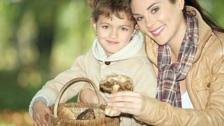 Beneficiile ciupercilor ca substitut pentru carne: O alegere sănătoasă și sustenabilă
