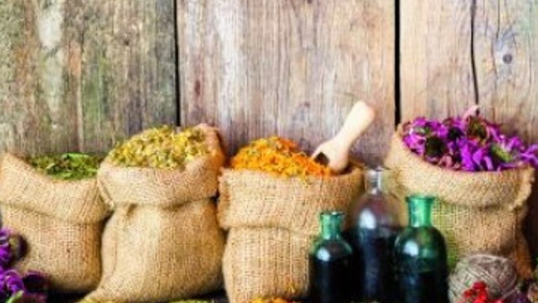 10 Soluții Naturale Eficiente Contra Negilor: Remedii și Implicații