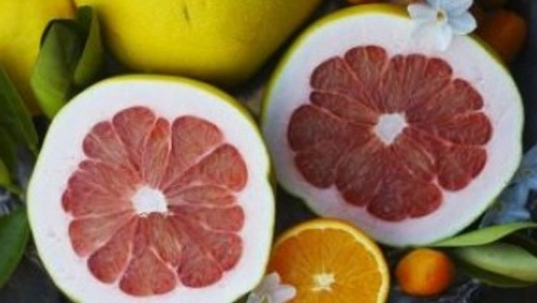 Pomelo: Superfructul cu Beneficii Remarcabile pentru Sănătate