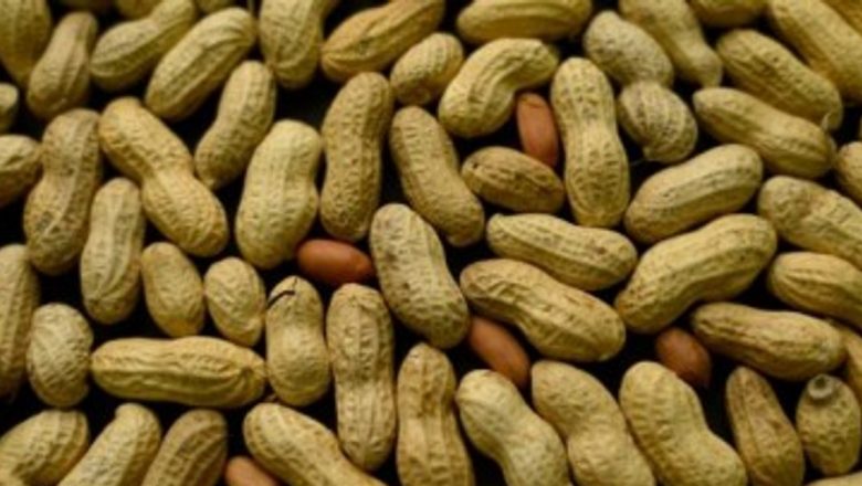 Arahidele: Superalimentul care Îmbunătățește Sănătatea și Previne Bolile