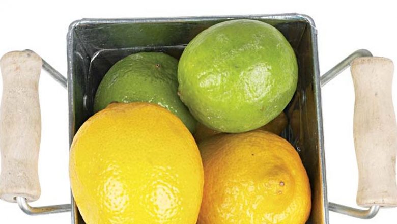 Beneficiile Coajei de Lămâie: O Comoară Nutrițională Neexplorată