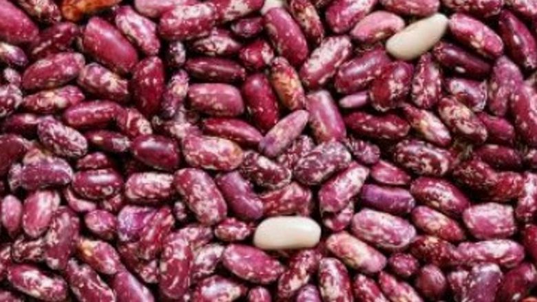 Impactul Alimentației Asupra Constipației: Ce Să Eviți și Cum Să Îți Menții Tranzitul Intestinal