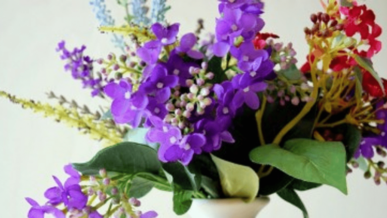Plante care îți îmbunătățesc starea de spirit: O explorare a efectelor florilor și plantelor asupra bunăstării psihice