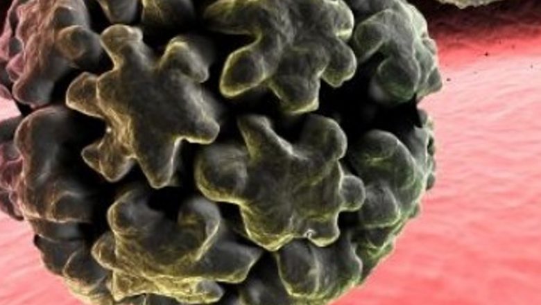 Dezvoltarea unui vaccin împotriva virusului Zika: Progrese, provocări și perspective viitoare