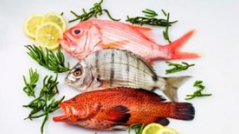 Impactul Alimentației Asupra Riscului de Alzheimer: Beneficiile Fructelor de Mare și Peștelui