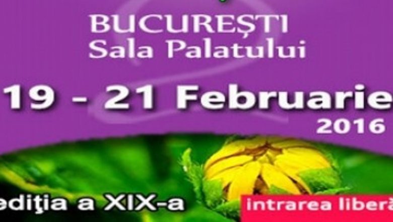 Body Mind Spirit EXPO 2016: O Oază de Sănătate și Dezvoltare Personală în Inima Bucureștiului