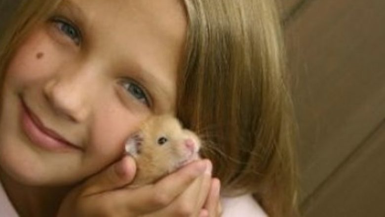 Provocările alegerii animalului de companie: Ce să eviți și cum să procedezi