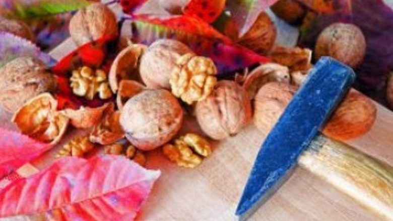 Ceaiul din coji de nucă și ceapă: un remediu natural plin de beneficii pentru sănătate