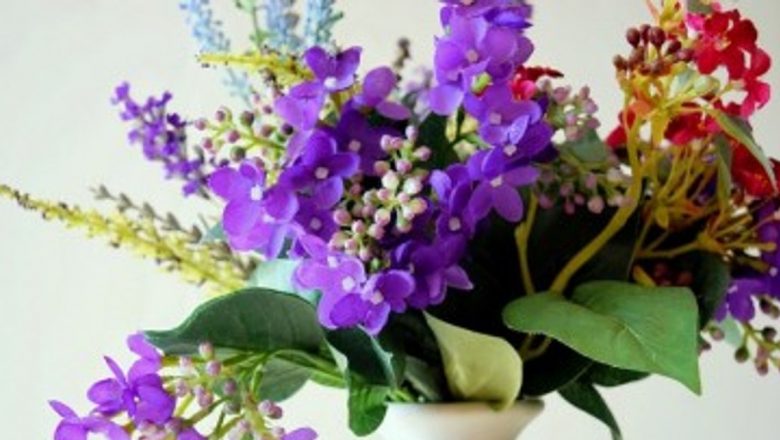 Plante care îți îmbunătățesc starea de spirit: Secretele florilor și plantelor care aduc bucurie