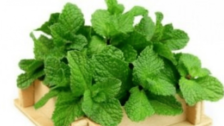 Alimentele minune: Soluții naturale pentru grețurile din sarcină