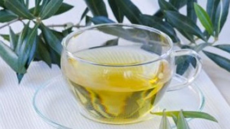 Frunzele de măslin: Remediu natural pentru hipertensiune și alte afecțiuni