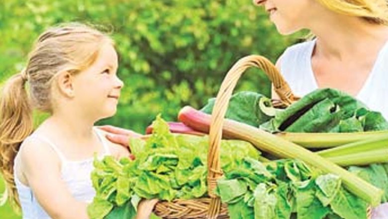 Revitalizează-ți energia prin dietă: Importanța alimentelor în combaterea oboselii
