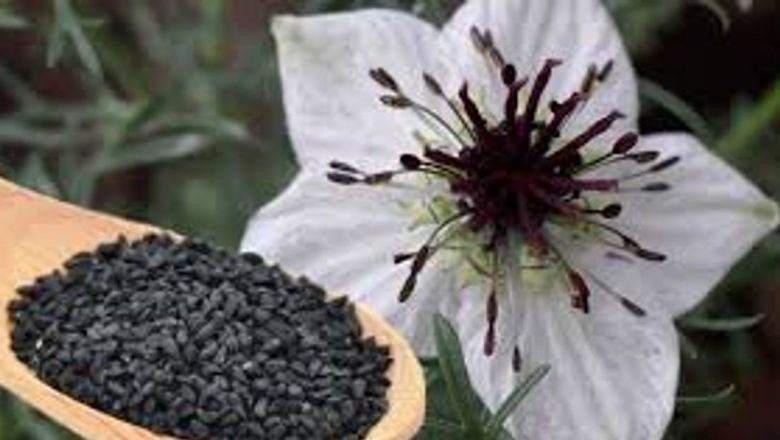 Îmbunătățirea Memoriei: 7 Remedii Naturale pentru o Viață Mentală Mai Sănătoasă