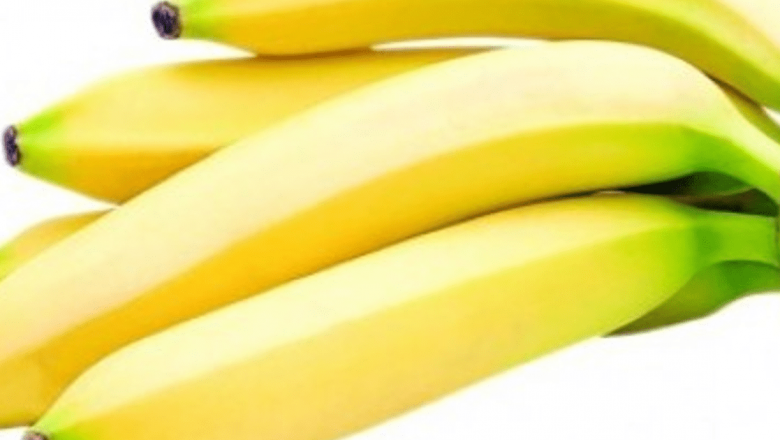 Beneficiile și Impactul Bananelor Necoapte asupra Sănătății: O Analiză Detaliată