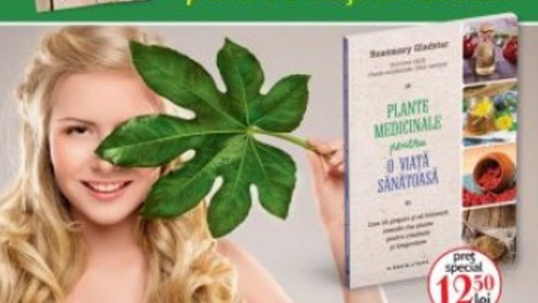 Descoperă secretele plantelor medicinale: Ghidul esențial pentru o viață sănătoasă