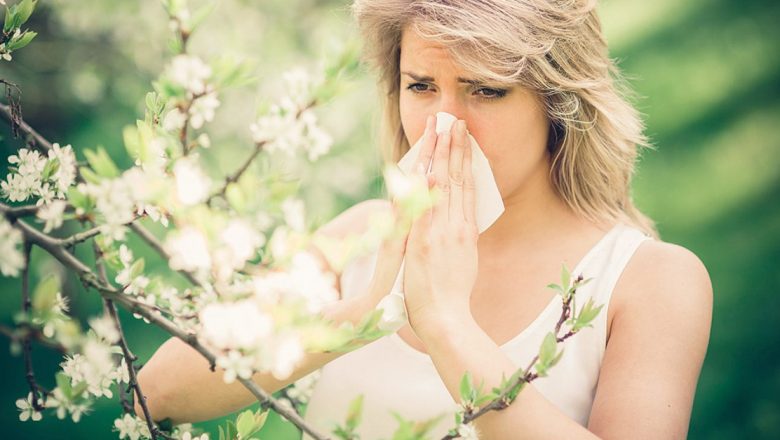 Remedii Naturale Eficiente pentru Alergiile de Primăvară: O Analiză Detaliată