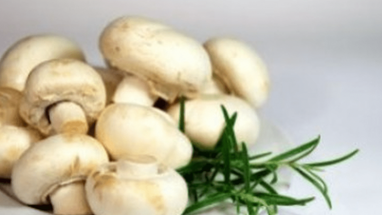 Nutrienții esențiali pentru dieta vegetariană: Ghidul complet al alimentației sănătoase
