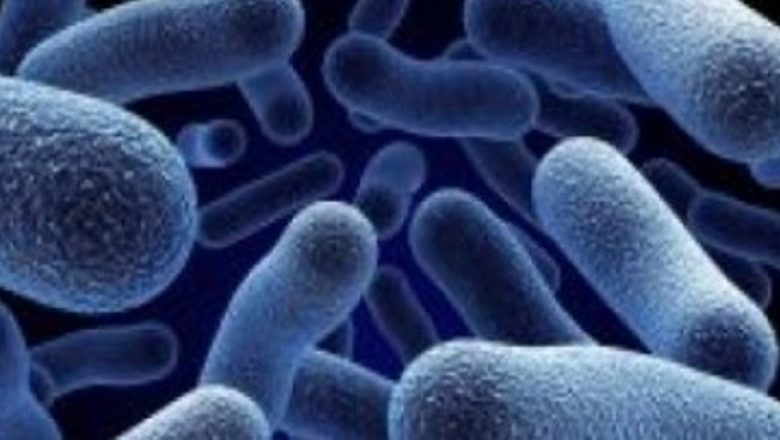 Emergența Super-Bacteriilor: Impactul Utilizării Incorecte a Antibioticelor