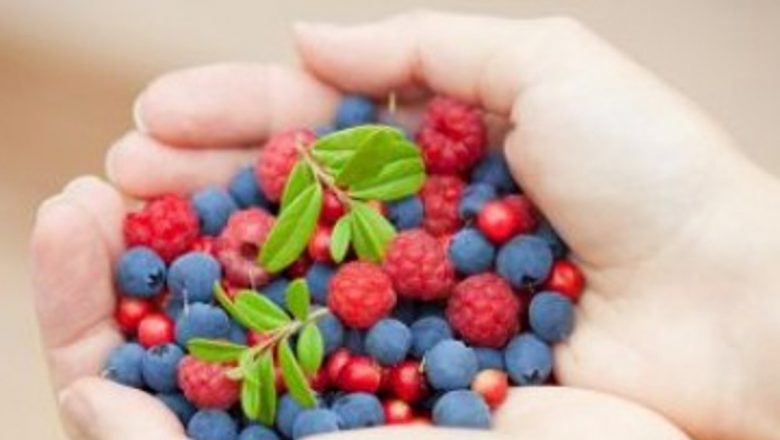 Alimentația și Vederea: Ghid Complet pentru Ochi Sănătoși