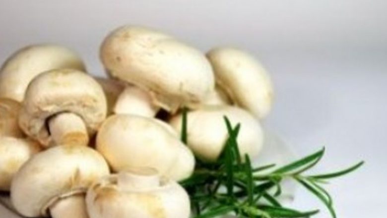 Nutriția Esențială pentru Vegetarieni: Ce Nu Trebuie să Lipsească din Dieta Ta